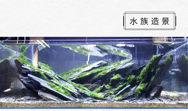 TB2ShYBFYGYBuNjy0FoXXciBFXa_!!3498715891.jpg TB2ShYBFYGYBuNjy0FoXXciBFXa_!!3498715891.jpg