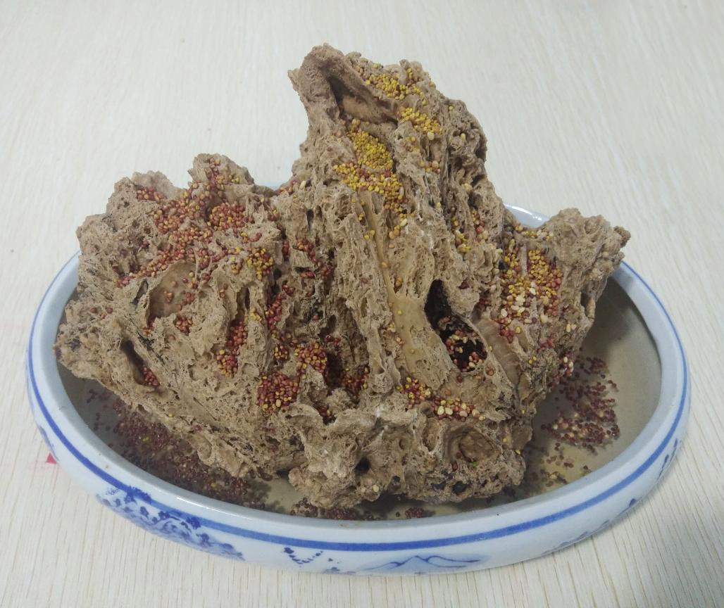 IMG_20190429_083033.jpg IMG_20190429_083033.jpg