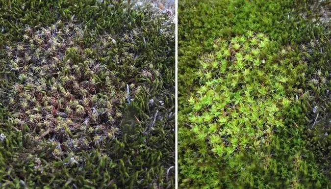 a8a22b93f08947ab98a67fb0f1b6d523_th.jpg a8a22b93f08947ab98a67fb0f1b6d523_th.jpg